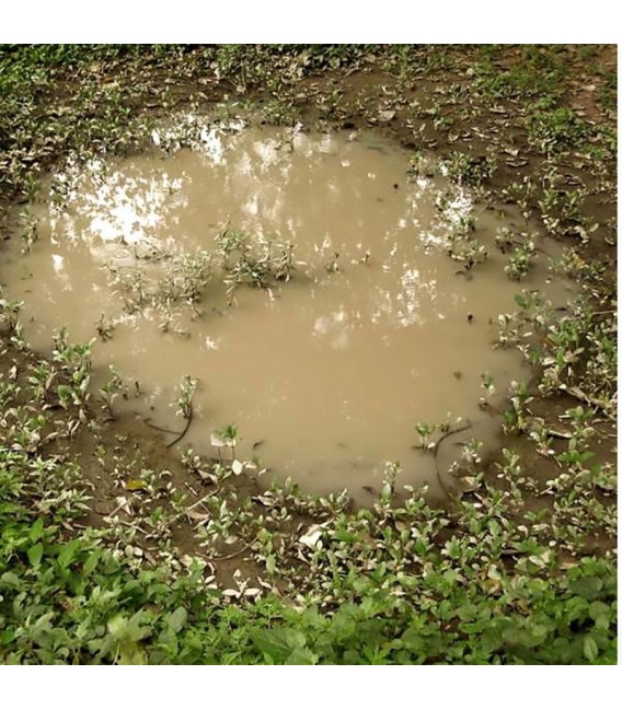 AK8028 Puddles - Bassals 60 ml.