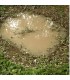 AK8028 Puddles 60 ml.