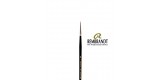 Rembrandt Series 110 Red Sable Brush 10/0
