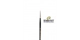 Rembrandt Series 110 Red Sable Brush 5/0