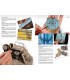 AK4902 Worn Art Collection 01-Wooden - Castellano