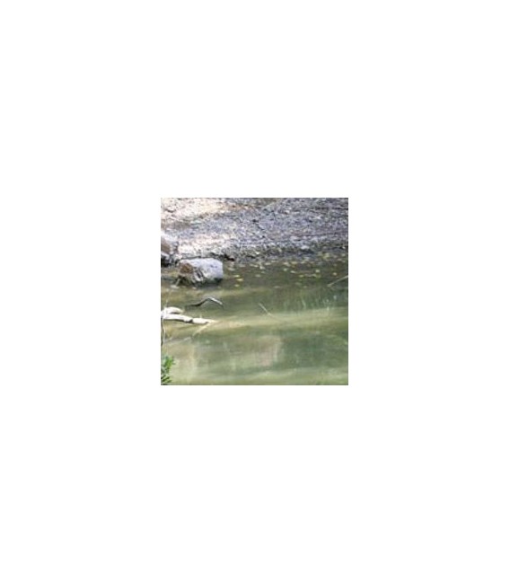 Aigues TRANQUIL·LES