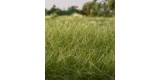 12 mm Static Grass Medium Green FS626 Woodland Scenics.