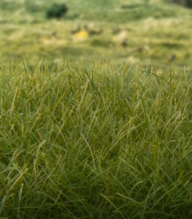 Woodland Scenics 2 mm Static Grass - Light Green