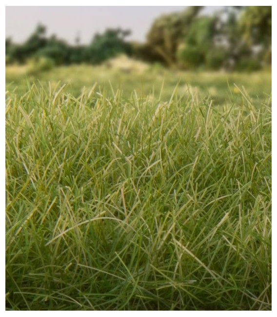 2 mm Static Grass Medium Green FS614 Woodland Scenics.