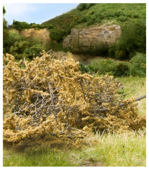 Briar Patch Dry Brown - Arbust Sec Marro - FS637 Woodland Scenics.