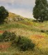 Adhesive Spray-Tac FS645 Woodland Scenics.