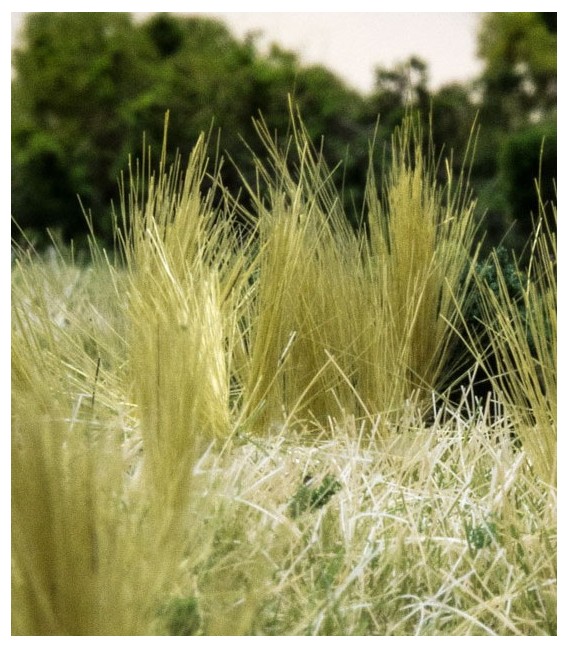 Adesivo Tuft-Tac FS643 Woodland Scenics.