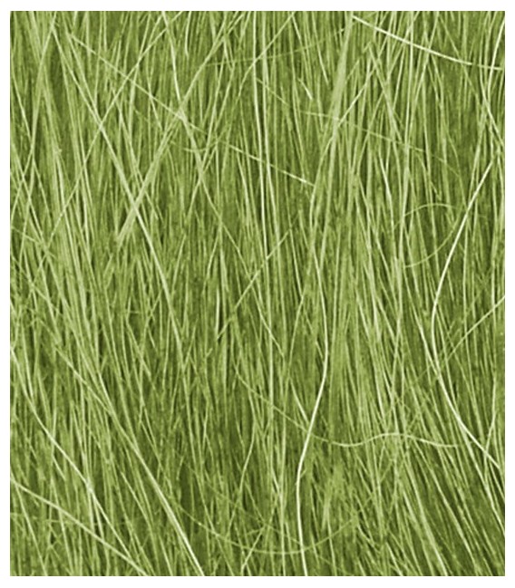 Field Grass Medium Green FG174 Woodland Scenics.