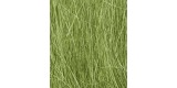 Field Grass Medium Green - Verde Medio - FG174 Woodland Scenics.