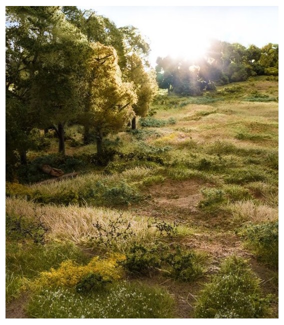 Static Grass Starter Kit FS647 Woodland Scenics.