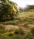 Static Grass Starter Kit FS647 Woodland Scenics.
