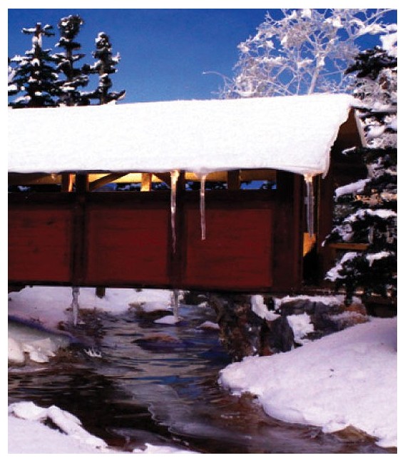 Nieve SP4187 Woodland Scenics.