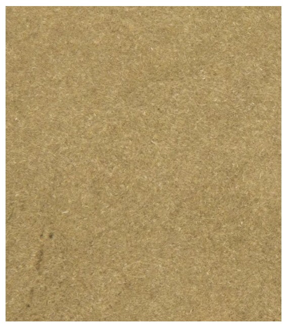 Plant Hues - FS629 Woodland Scenics.