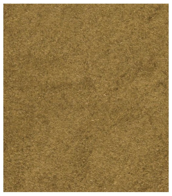 Plant Hues - Plantes Germinades - FS629 Woodland Scenics.