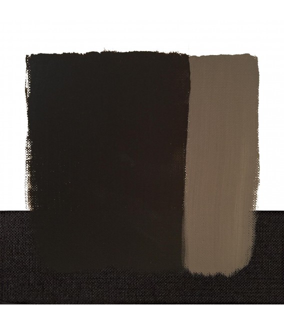 Castanho Van Dyck oleo Maimeri Classico 20 ml.