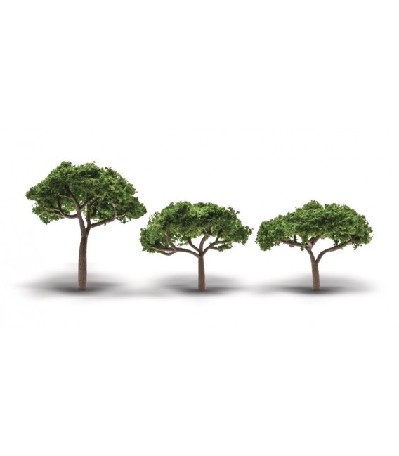 Set 3 Pini Domestici - Canopy Trees 5-9 cm. TR3555 Woodland Scenics.