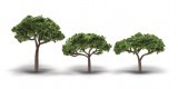 Set 3 Canopy Trees - Stone Pines - 5-9 cm. TR3555 Woodland Scenics.