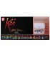 Caixa Aquarel.la KOI set plastic 96 pastilles