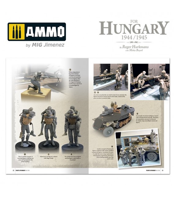 La Batalla de Hungria 1944/1945 (Castellano)