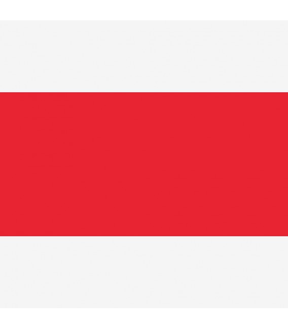 Rojo 4561 Speedball Tinta Serigrafia 237 ml.