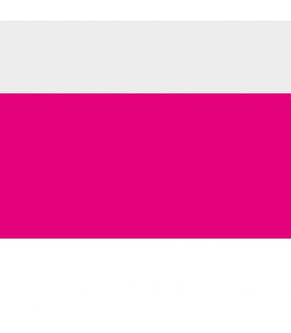 Magenta Fluor 4692 Speedball Tinta Serigrafia 237 ml.