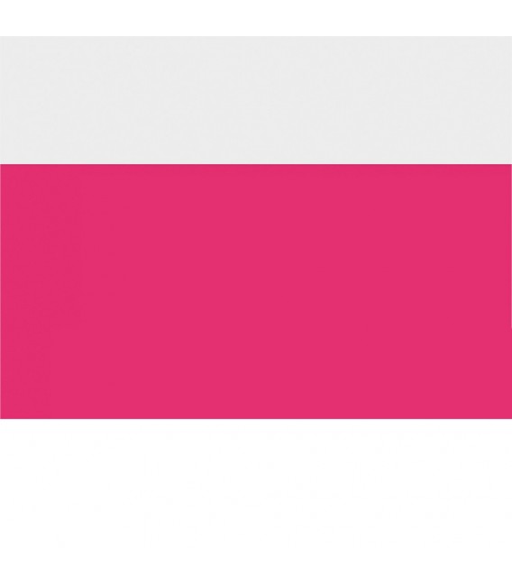 Hot Pink Fluor 4687 Tinta Serigrafia 237 ml.