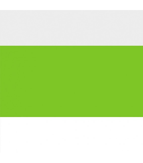 Lime Vert Fluor 4690 Speedball Encre Serigraphie 237 ml.