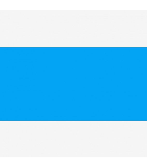 Blue Fluor 45654 Speedball Screen Printing Ink 237 ml.