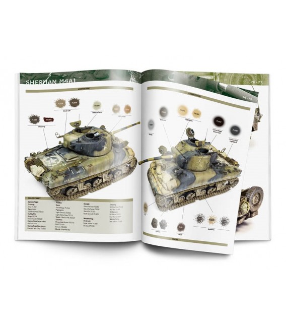 75019 WWII US ARMY in Europe and the Pacific - Anglès