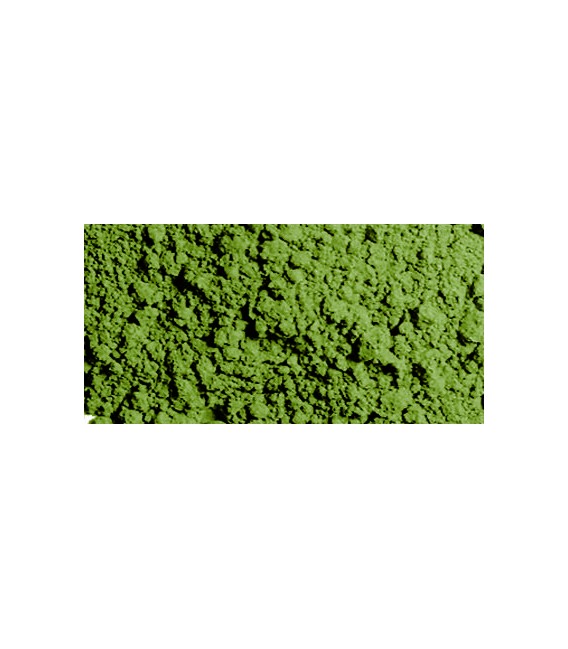 73.122 Verd Oliva Desgastat Vallejo Pigments (30 ml.)