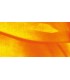 53) Acriique Vallejo Studio 58 ml. 931 Jaune Doré Fluo