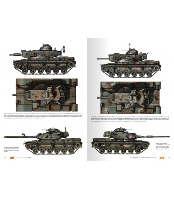 AK130014 The age of the main battle  - English