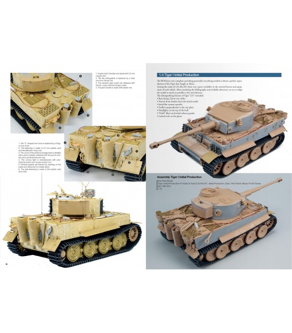ABT612 Tigers to scale  – English