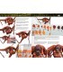 AK519 AK Learning 14: Pintura de Figuras de Animales - Castellano