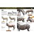 AK519 AK Learning 14: Pintura de Figuras de Animales - Castellano