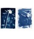 Jacquard Cyanotype 2 Components Set.