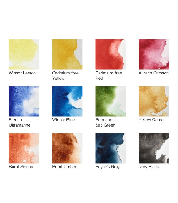 Caixa Aquarel.la plastic Professional caixa de camp 12 pastilles