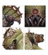 Warhammer 40.000 - Death Guard - Myphitic Blight-Hauler