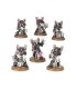 Champions of Slaanesh – Emperor's Children Army Set Warhammer 40K