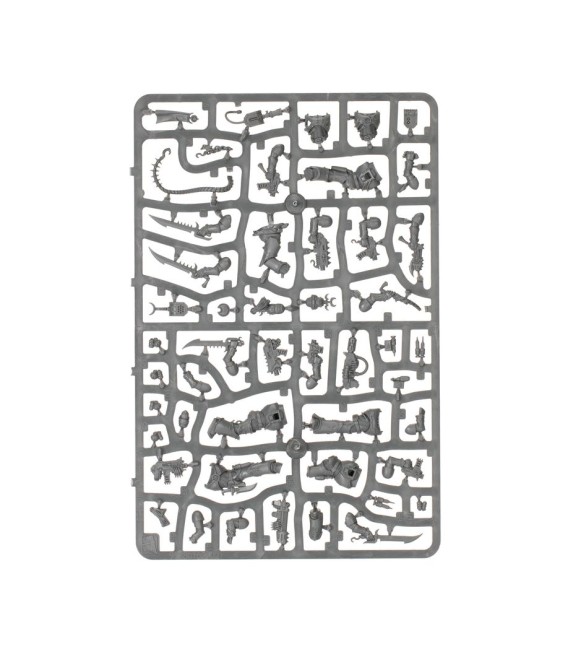 Champions of Slaanesh – Emperor's Children Army Set Warhammer 40K