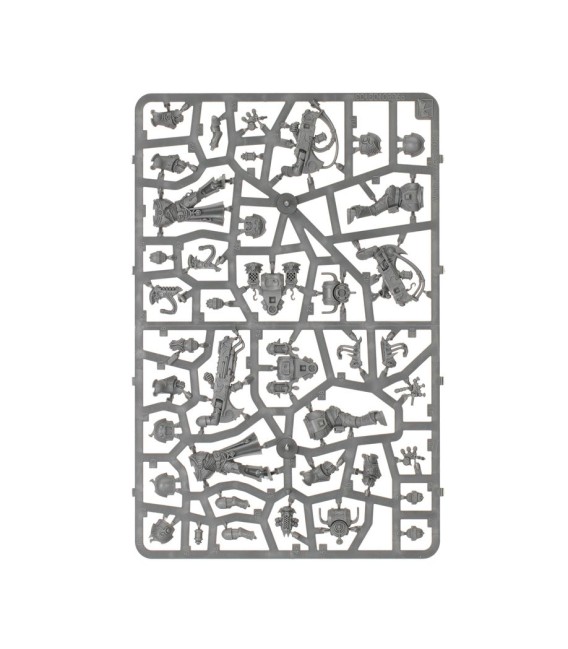 Champions of Slaanesh – Emperor's Children Army Set Warhammer 40K