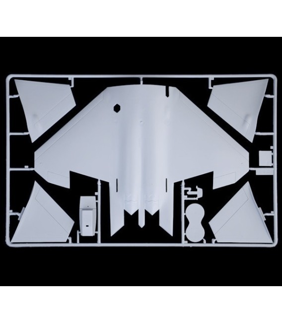 2822 F-22A Raptor  - Italeri Echelle 1/48