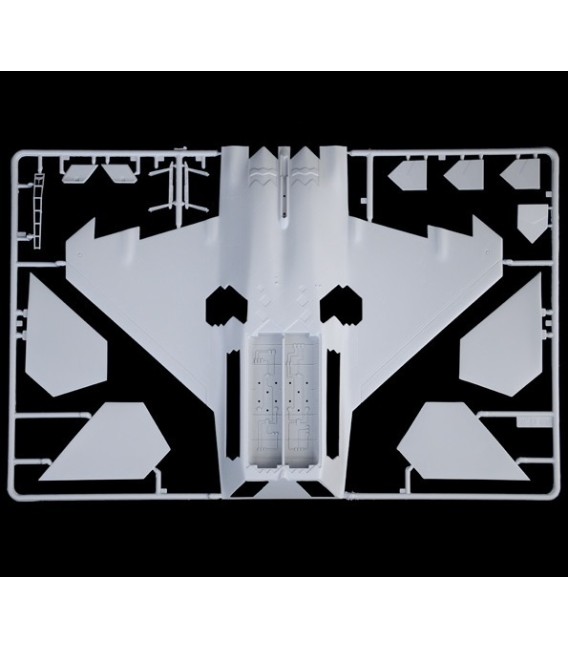 2822 F-22A Raptor  - Italeri Echelle 1/48