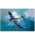 Spitfire Mk.XIVc Academy Echelle 1/48