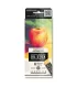 Sennelier Set Pomme Bicolore Oil Stick 6 x 12 ml