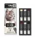 Sennelier Set Chat Tigre Oil Stick 6 x 12 ml