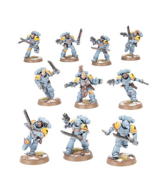 Lobos Espaciales caixa d'exèrcit Warhammer 40K