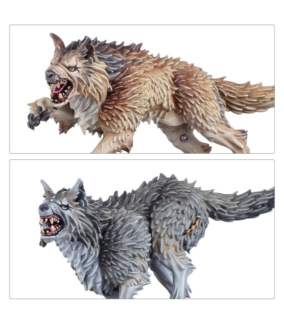 Lobos Espaciales caixa d'exèrcit Warhammer 40K