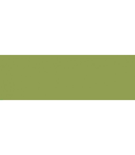 22) 5007 Spanish Olive Premo Sculpey 57 grs.